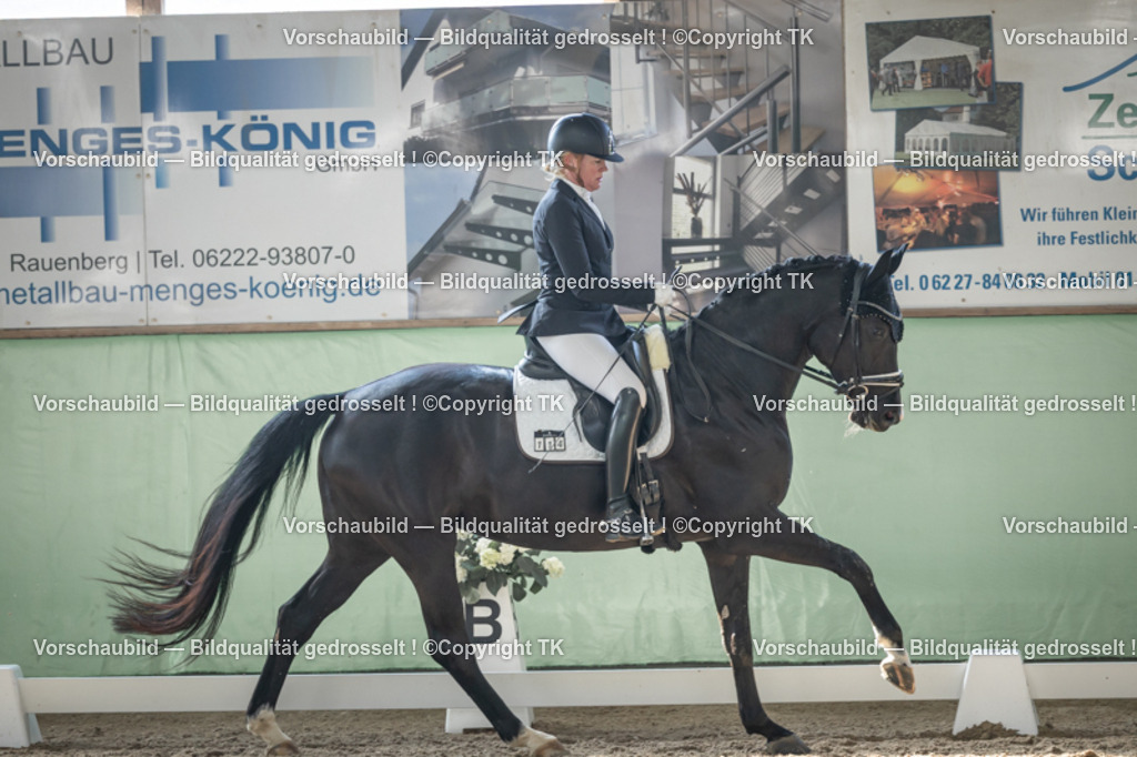 _D5A0743 | Emotionale Pferde- & People-Fotografie rund um Heidelberg, Leimen & Umgebung. Natürliche Fotos von Pferd, Mensch & Familie. Jetzt Termin sichern!