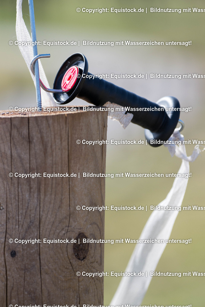 20170312_Koppelzaun_0007 | equistock