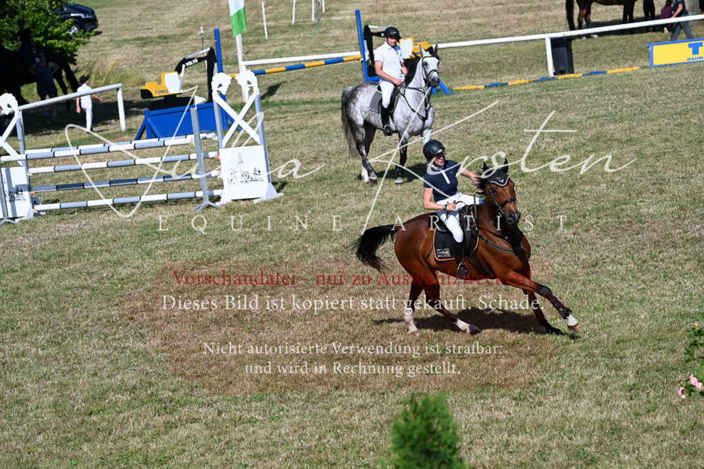 DSC_2198 | Pferde- und Turnierfotografie in Westsachsen. Pferdeportraits, Auftragszeichnungen und intuitive Kunst.