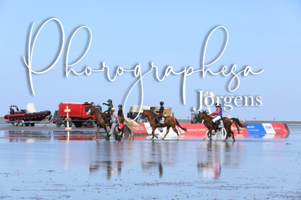 IMG_9517 | photographesa-joergens - Realisiert mit Pictrs.com