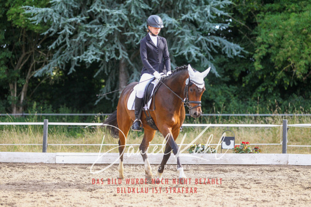 DKP45714 | Turniersportfotografie; Pferdefotografie; Dressurfotografie