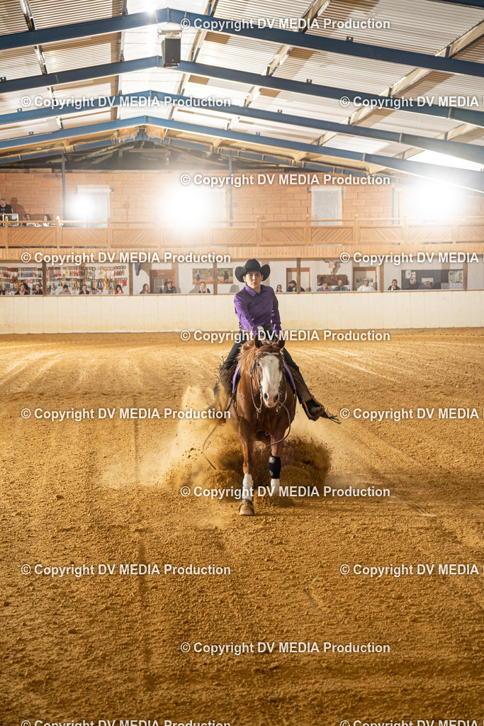 MIT00450 | dv-media-shop - Realisiert mit Pictrs.com