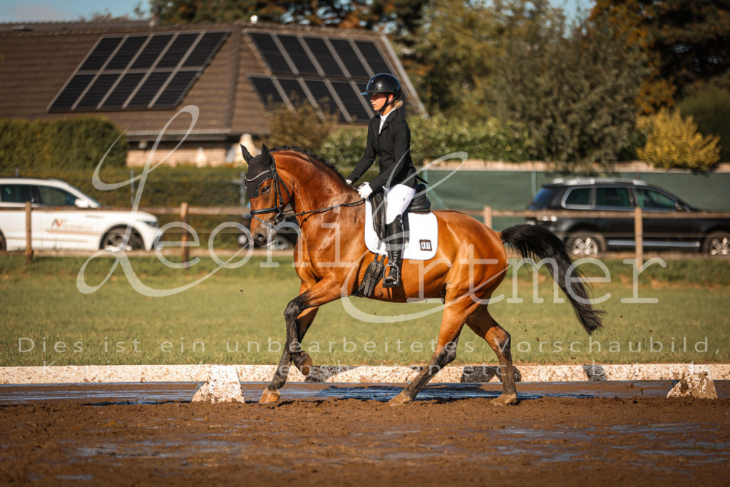 13.SoDrA100386 | Leoni Ertmer Photography - Realisiert mit Pictrs.com