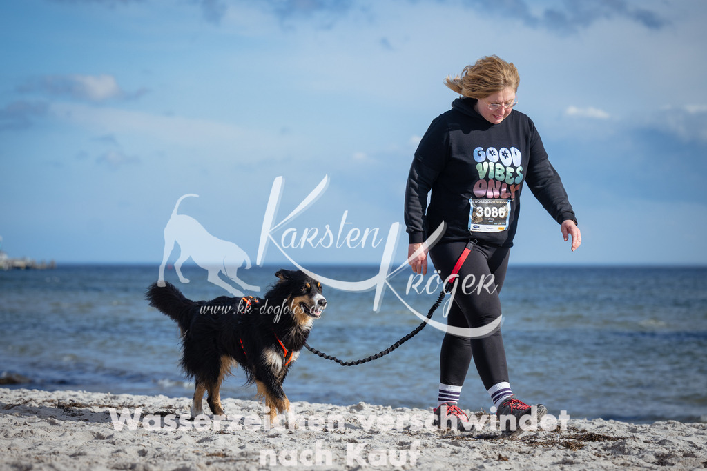 1336_ZZ92158 | kk-dogfotos