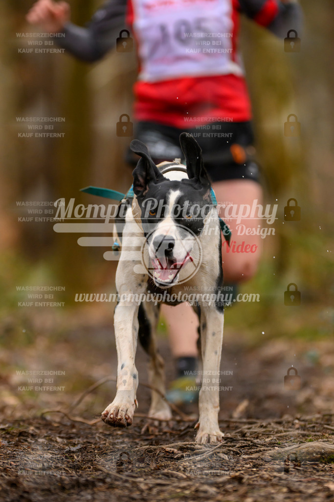 MompixPhotography_CDSM24_SA_Fun-9 | PayLife