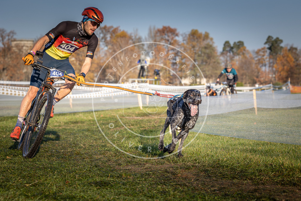 CaniXpix_0L8A3995 | Hundefotografie, Tierfotograf, Pfotenfotografie, Fotoshooting Hund, Hunde Portrait, Hundesport, Hundeportraits, Heideshooting, Hunde, Sportfotograf, Hundefotograf, Turnierhundsport, THS,  - Realisiert mit Pictrs.com