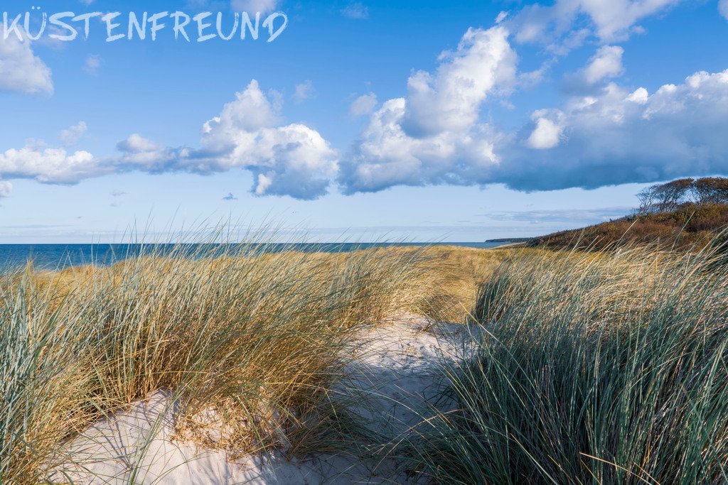 Darßer Dünen und weiter Horizont – Ostsee Bilder | Entdecke deine Lieblingslandschaft von der Küste – auf Ostsee Leinwand, Nordsee Leinwand, Alu Dibond oder Acrylglas, passend für jeden Geschmack und Raum.