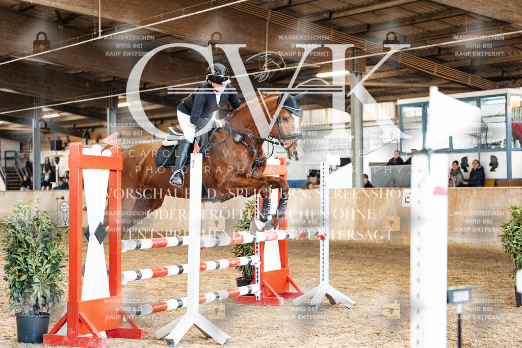 CK905057 | Turnierfotografie Pferdefotografie Trier Rheinland-Pfalz Pferdesport Reitsport Tierfotografie Sportfotografie Pferdevideo Pferdevideografie Equestrianvideography equestrianphotography  - Realisiert mit Pictrs.com
