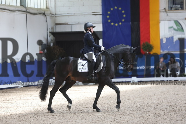 Pforzheim_2024_Prfg.Nr.12_Dressurreiterprfg.Kl.M_Nürnberger-Burgpokal_Pia-Marie Feucht_Great Gatsby P (1) | Alle Fotos der Reiterjournal Fotografin Doris Matthaes im Reiterjournal Online-Fotoshop. - Realisiert mit Pictrs.com