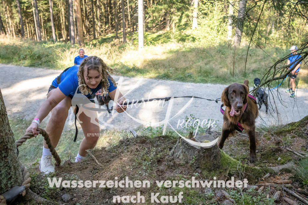 1216_ZZ93811 | kk-dogfotos