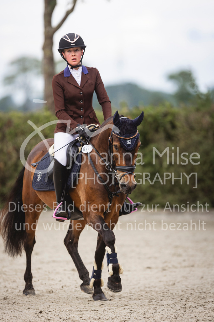 240616_Lemwerder_A2-Spr-202 | Deine schönsten Turniermomente als professionelle Fotos! Entdecke hochwertige Pferdesport-Fotografie im Online-Shop. Jetzt Fotos finden & bestellen!