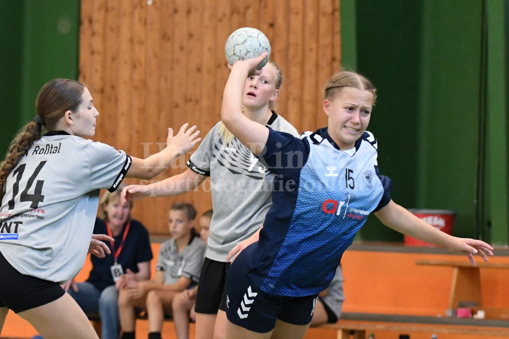 SSG Metten Handball Nachwuchs | SSG Metten weibliche C-Jugend im Spiel gegen den   TSV Roßtal - Realisiert mit Pictrs.com