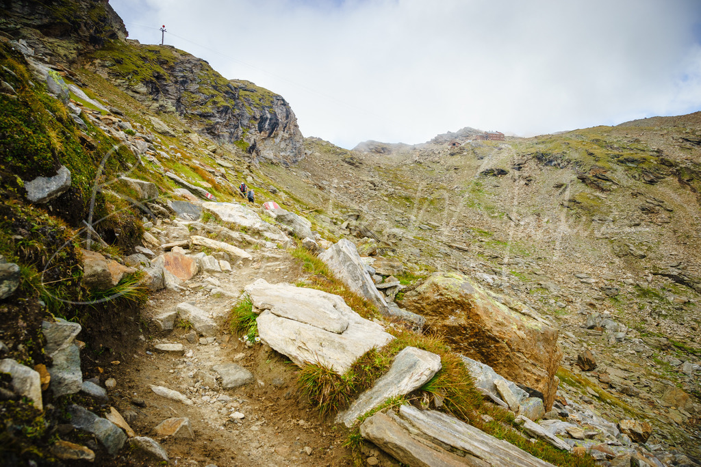 _DSC9864 | Baumgartner Markus Fotografie