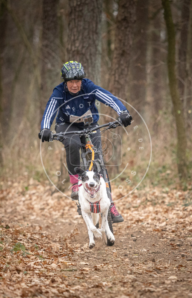 Pfotenfotografie_DV3A5368 | Hundefotografie, Tierfotograf, Pfotenfotografie, Fotoshooting Hund, Hunde Portrait, Hundesport, Hundeportraits, Heideshooting, Hunde, Sportfotograf, Hundefotograf, Turnierhundsport, THS,  - Realisiert mit Pictrs.com