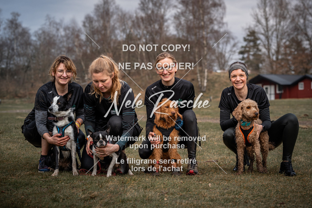 nelerasche_1330-1400_318 | nelerasche