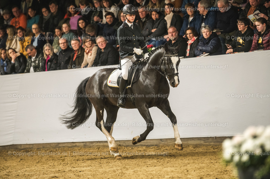 20240302_Hengstvorstellung_Marbach_TOMsPiC_0689 | equistock