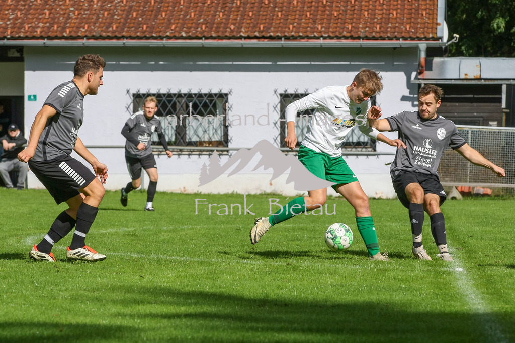 993T6647 | Medien- Sport- Entertainmentfotos