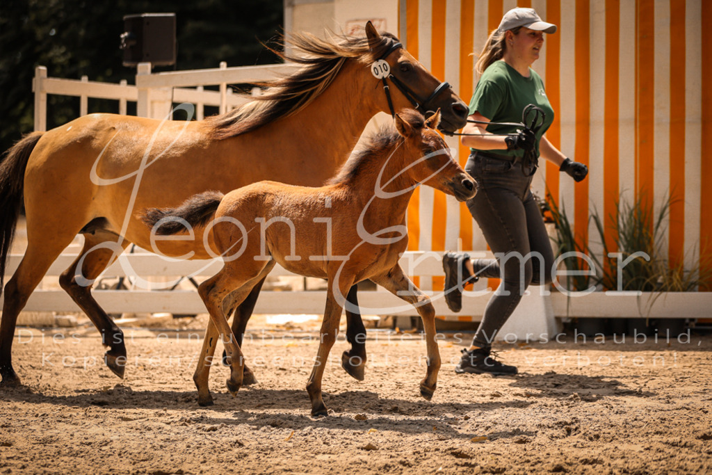 02.DoSR00110 | Leoni Ertmer Photography - Realisiert mit Pictrs.com