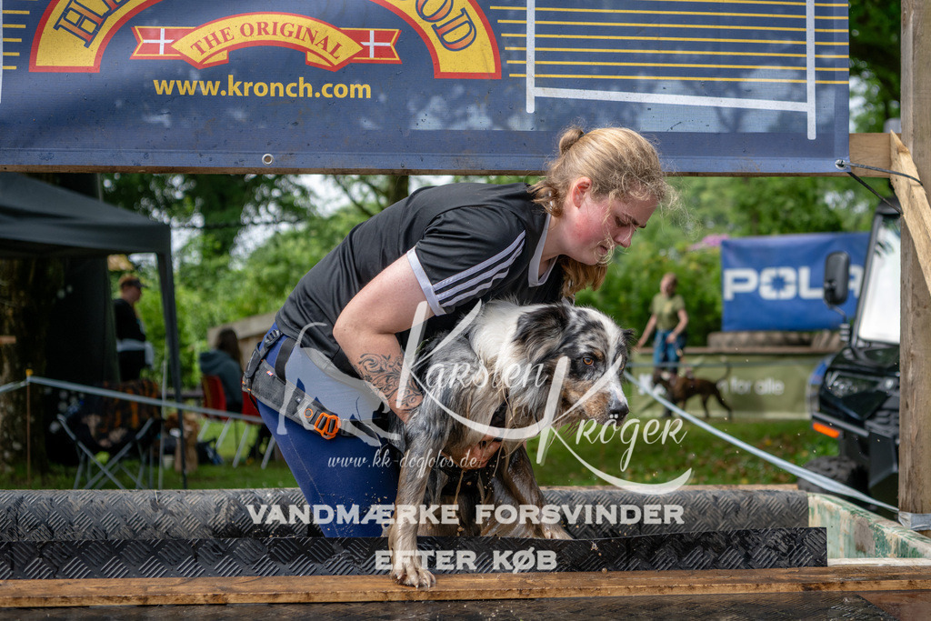 1054_ZZ91980 | kk-dogfotos