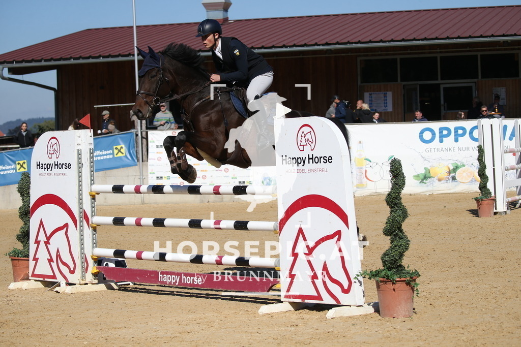DL2Q2933 | Willkommen bei Brunnmayr - Design & Fotografie – Ihrem Spezialisten für Reitturniere und Pferdeveranstaltungen in Oberösterreich, Salzburg und Bayern! Seit über 17 Jahren sind wir leidenschaftlich dabei.
