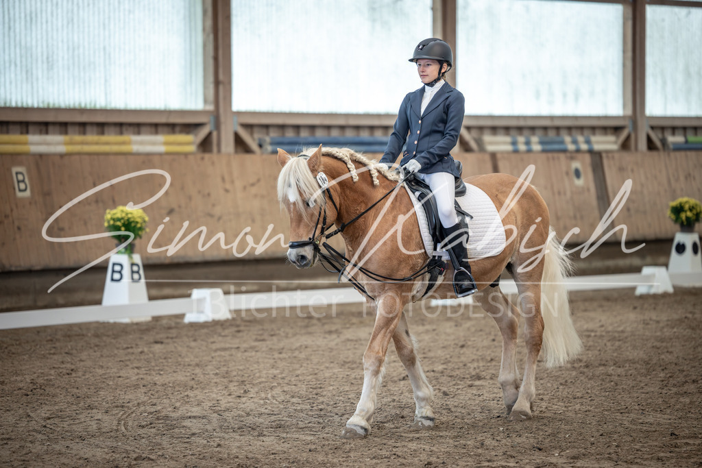 20251011-_3LI8467 | Tierfotografie Pferde, Hunde, Katzen, Haustiere.
Turnierfotografie Reitturniere, Reiten, Springreiten, Dressur in Hanau, dem Main-Kinzig-Kreis und dem Rhein-Main- Gebiet um Frankfurt