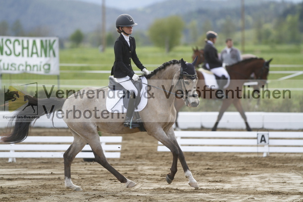 _MG_3411 | equestrian-live-com