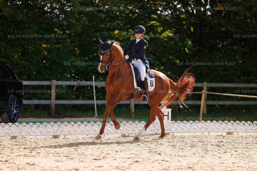09_2-223-DRESSUR  S_  -StoibPH-5797 | working equitationturnier fotograf videograf stoibphotography marixx film working equitation deutschland reitsport turnierfotografie eventfotografie equestrian events