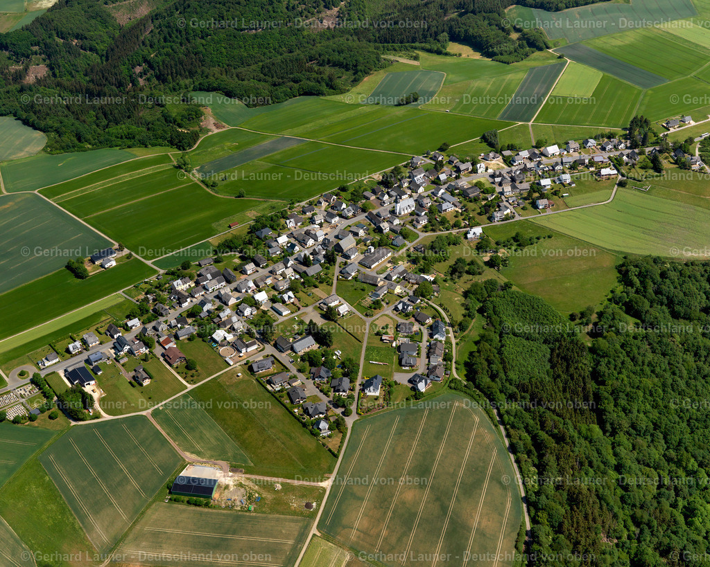 Peterswald-3123078 | Peterswald