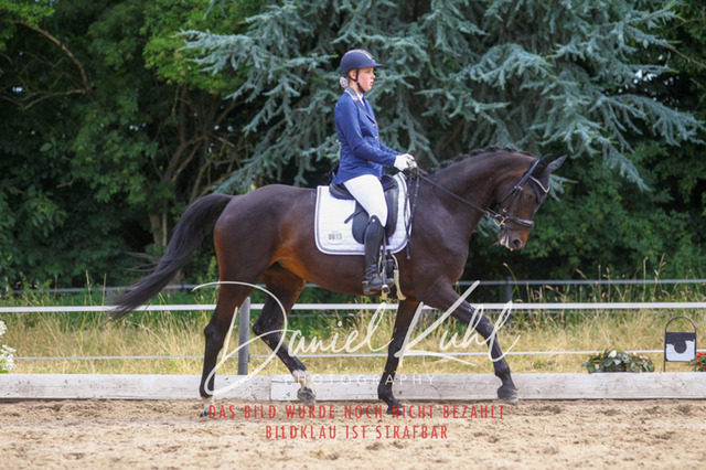 DKP45975 | Turniersportfotografie; Pferdefotografie; Dressurfotografie