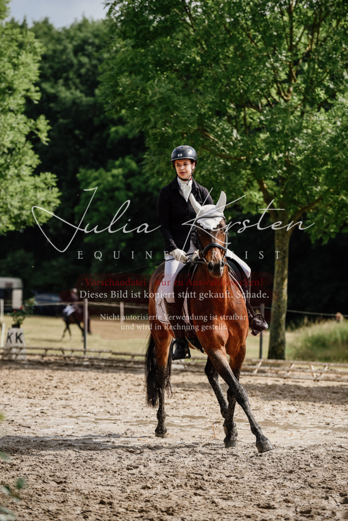 DSC_9832 | Pferde- und Turnierfotografie in Westsachsen. Pferdeportraits, Auftragszeichnungen und intuitive Kunst.
