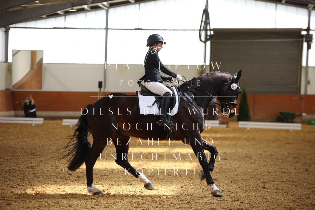 IMGT4552 | pl-fotografie