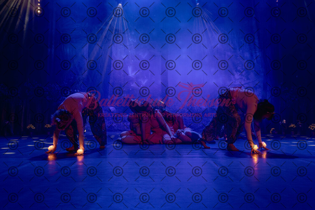Ballettaufführung-1076 | Bildershop Lem'n Entertainment - Realisiert mit Pictrs.com