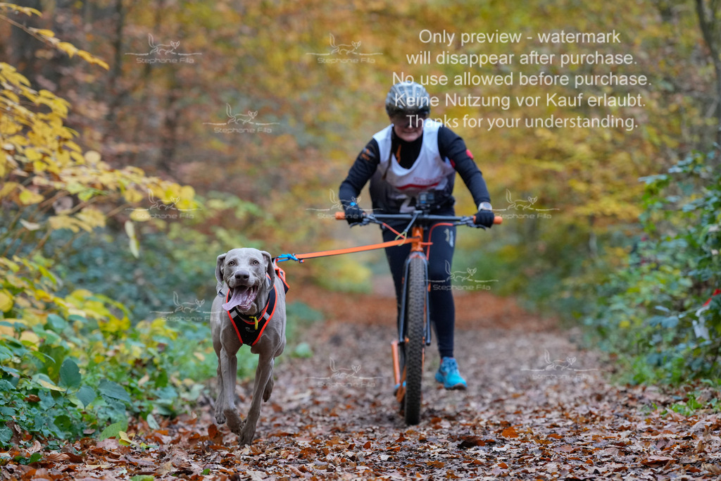 Scooter_So-29 | stephaniefillaphotographie - Realisiert mit Pictrs.com