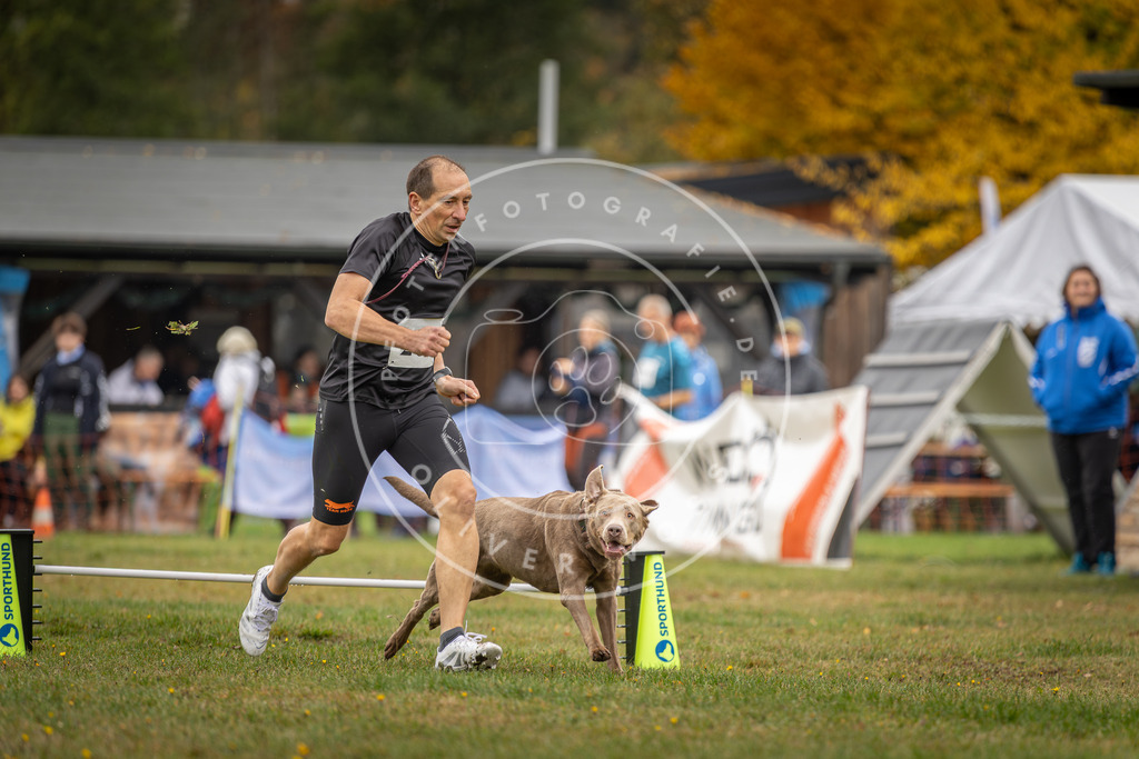 Pfotenfotografie_DV3A1858 | Hundefotografie, Tierfotograf, Pfotenfotografie, Fotoshooting Hund, Hunde Portrait, Hundesport, Hundeportraits, Heideshooting, Hunde, Sportfotograf, Hundefotograf, Turnierhundsport, THS,  - Realisiert mit Pictrs.com