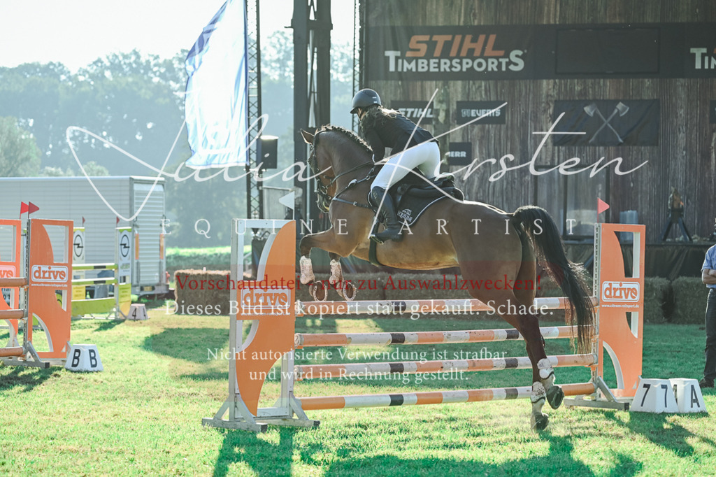 DSC_4528 | Pferde- und Turnierfotografie in Westsachsen. Pferdeportraits, Auftragszeichnungen und intuitive Kunst.