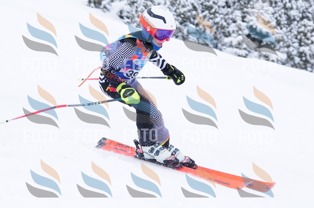 C4155 | holidayphoto