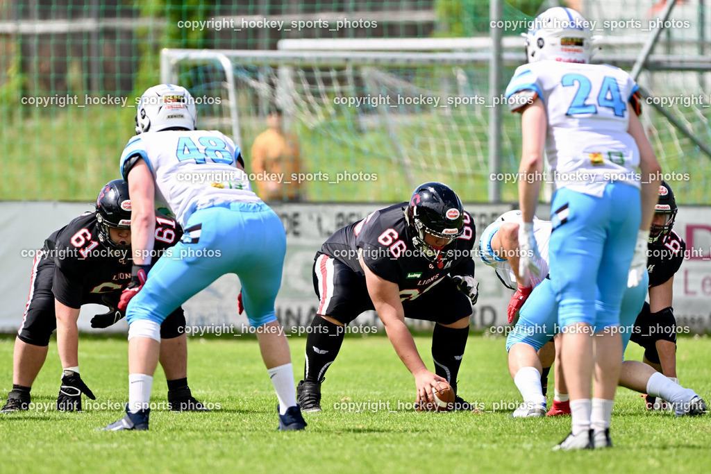 Carinthian Lions vs. Styrian Bears | Carinthian Lions vs. Styrian Bears, Carinthian Lions vs. Styrian Bears am 20.05.2024 in Klagenfurt (ASV Sportplatz), Austria, (Photo by Bernd Stefan)