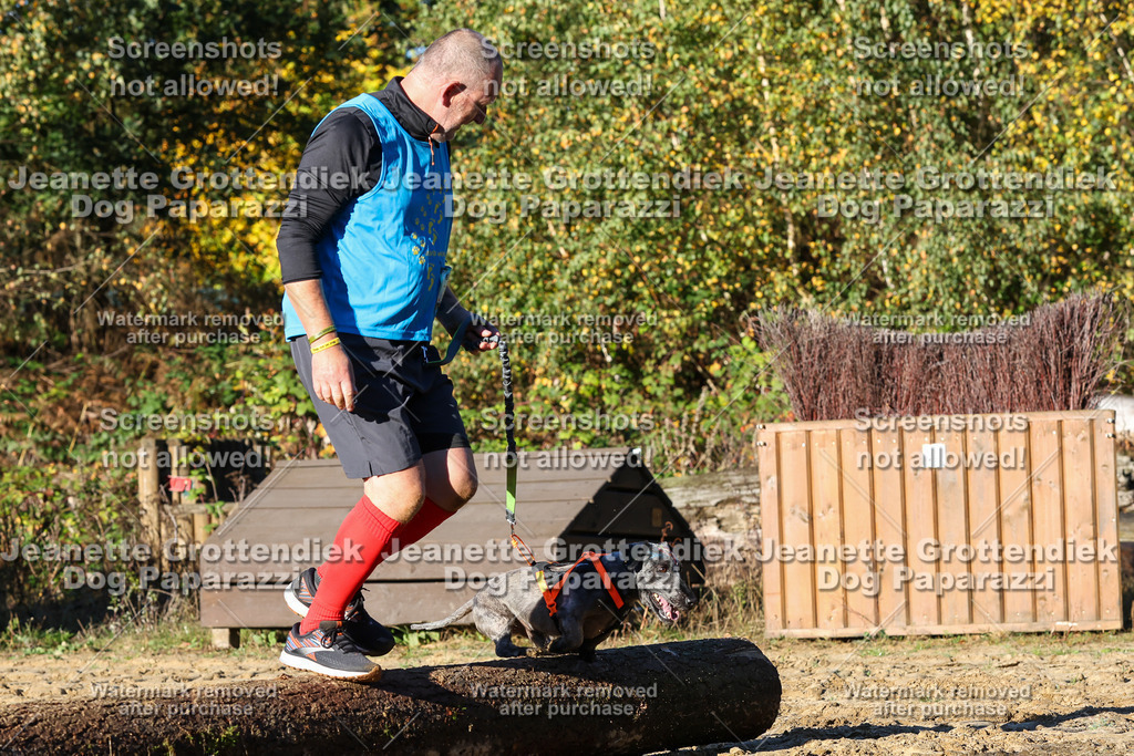 Dog Paparazzi - Strongdog 10-25-1350 | Dog Paparazzi Jeanette Grottendiek Fotografie & Videografie - Realisiert mit Pictrs.com