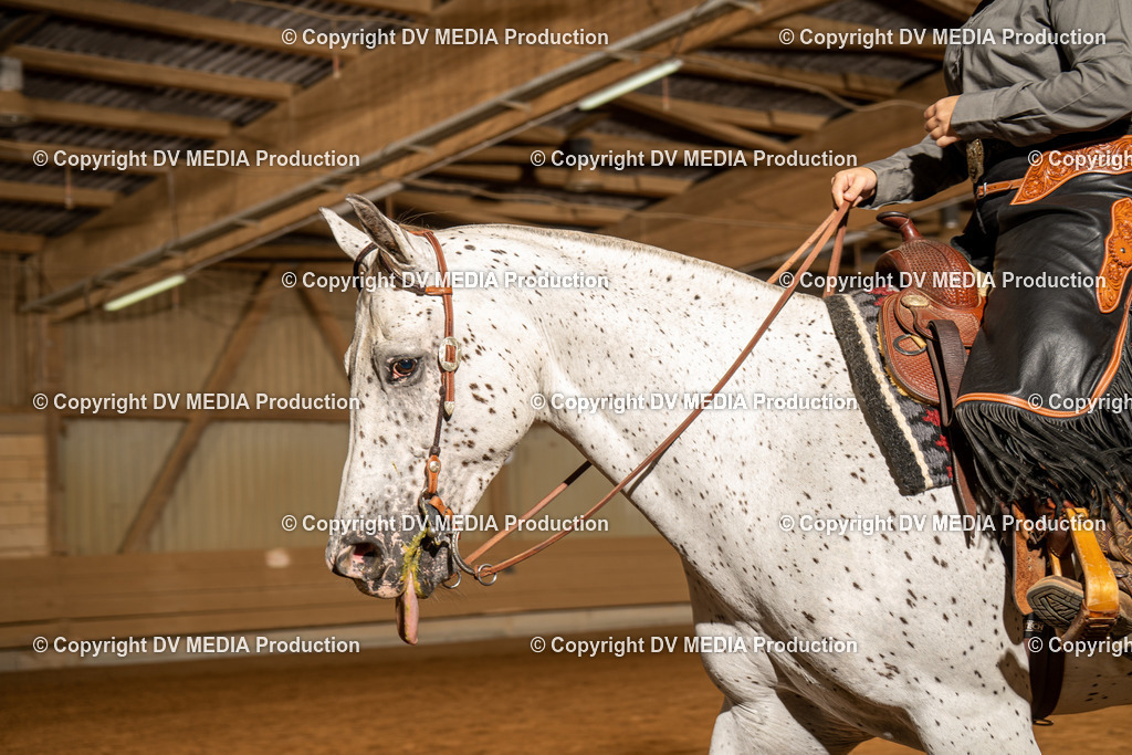 NID01521 | dv-media-shop - Realisiert mit Pictrs.com