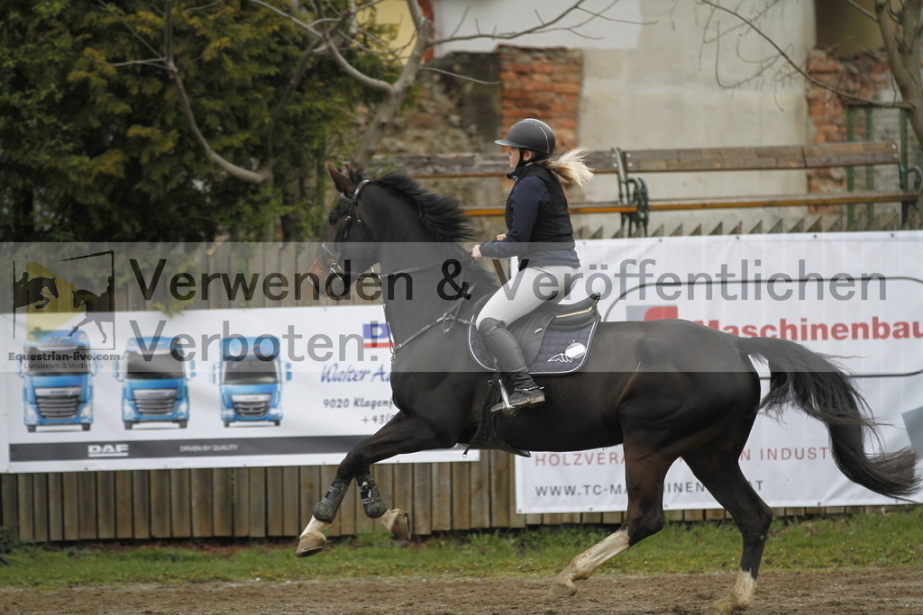 _MG_3628 | equestrian-live-com
