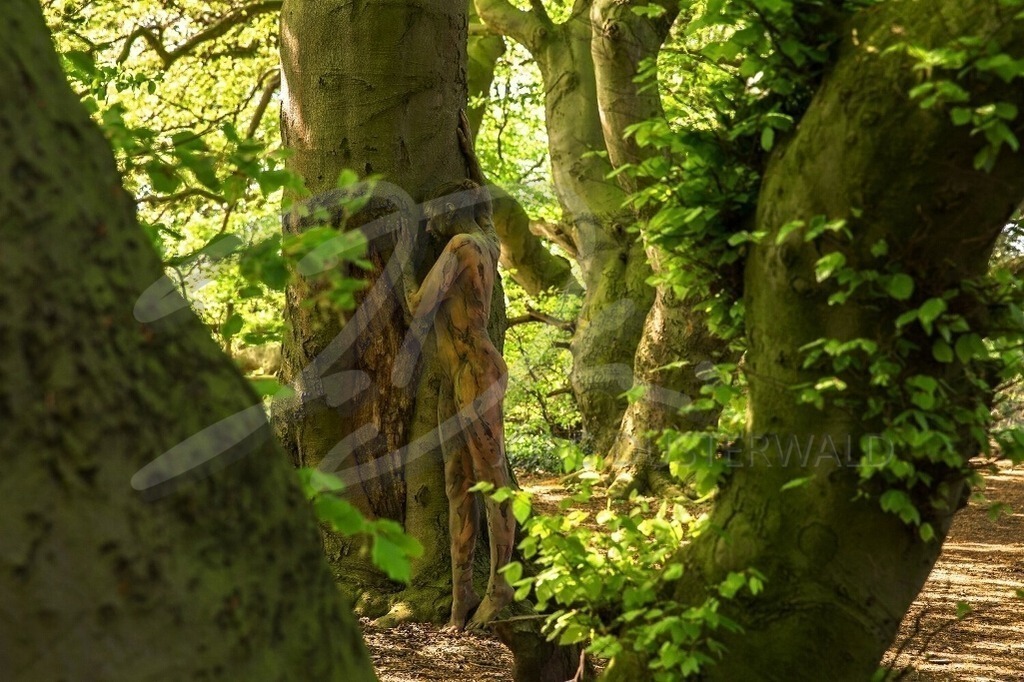 NatureArt-SÜNTELBUCHEN_7284 | Kuscheln an den Süntelbuchen | #002 | Modell: Fee | Foto: Dirk Ludwig - Realisiert mit Pictrs.com
