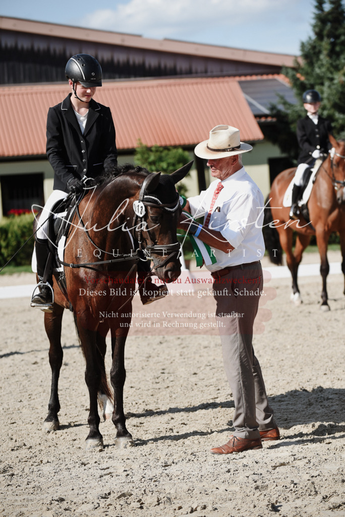 DSC_0217 | Pferde- und Turnierfotografie in Westsachsen. Pferdeportraits, Auftragszeichnungen und intuitive Kunst.