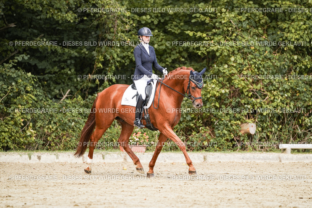 DSC02652 | Pferdegrafie