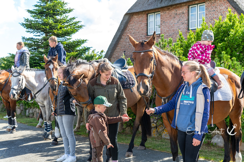 20240707-EAF_8454 | Eilun-Art-Fotografie Levke Martens, ihre Fotografin für Immobilien- und Landschaftsfotografie auf Föhr, Föhrer Motive als Poster, Leinwand, hinter Acrylglas oder stelle dir deinen eigenen Monatskalender zusammen, mit nur einem Klick
