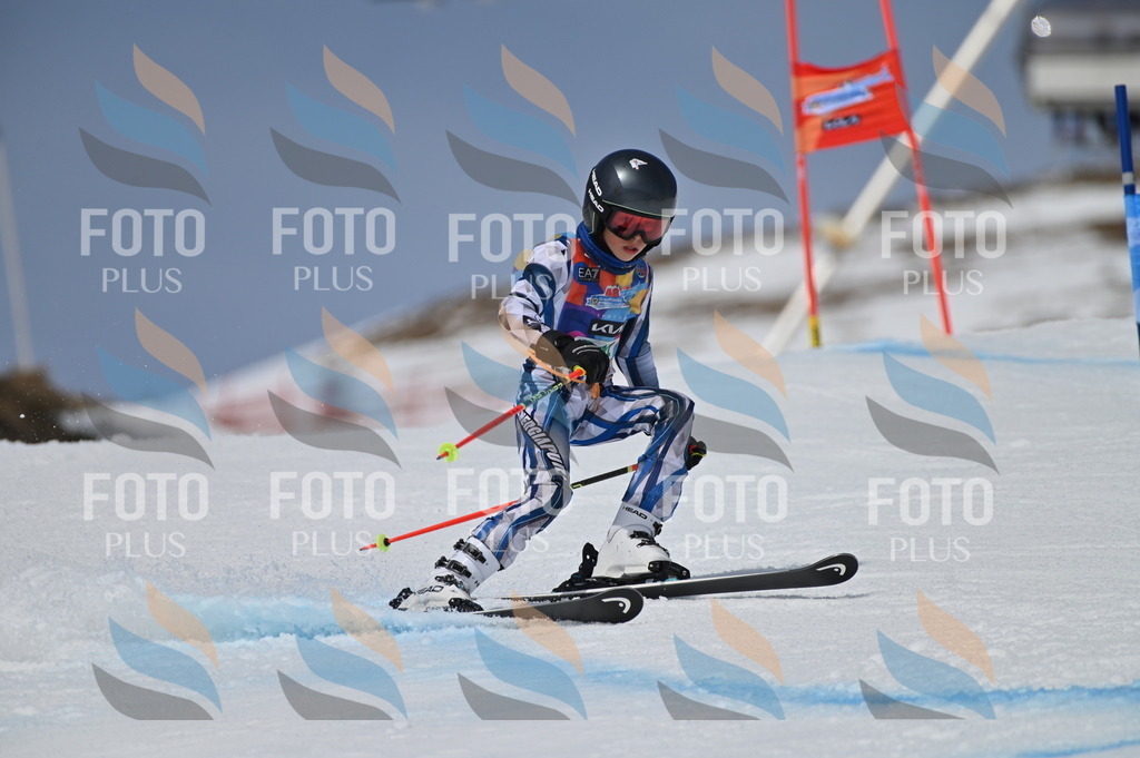 BGV_6834 | holidayphoto