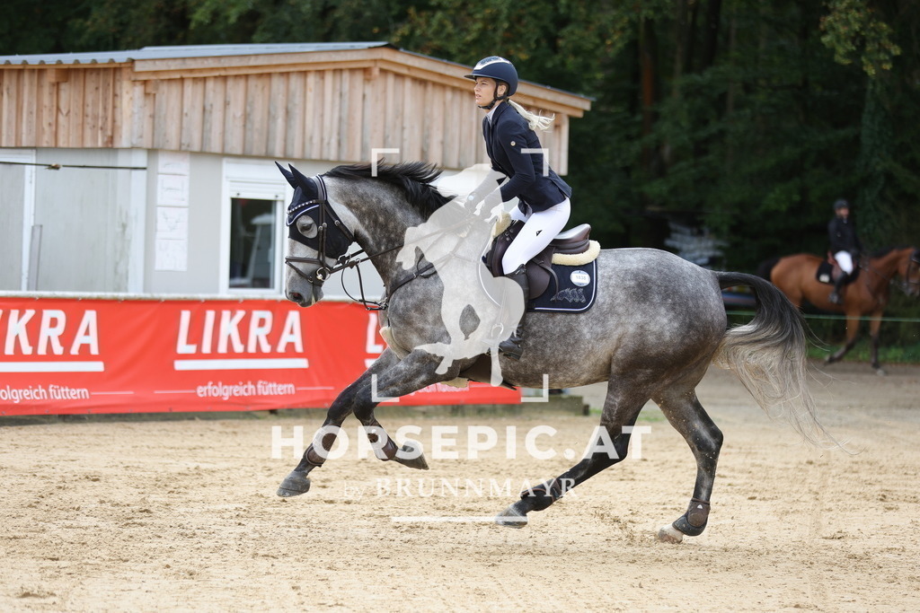 0P6A9363 | Willkommen bei Brunnmayr - Design & Fotografie – Ihrem Spezialisten für Reitturniere und Pferdeveranstaltungen in Oberösterreich, Salzburg und Bayern! Seit über 17 Jahren sind wir leidenschaftlich dabei.
