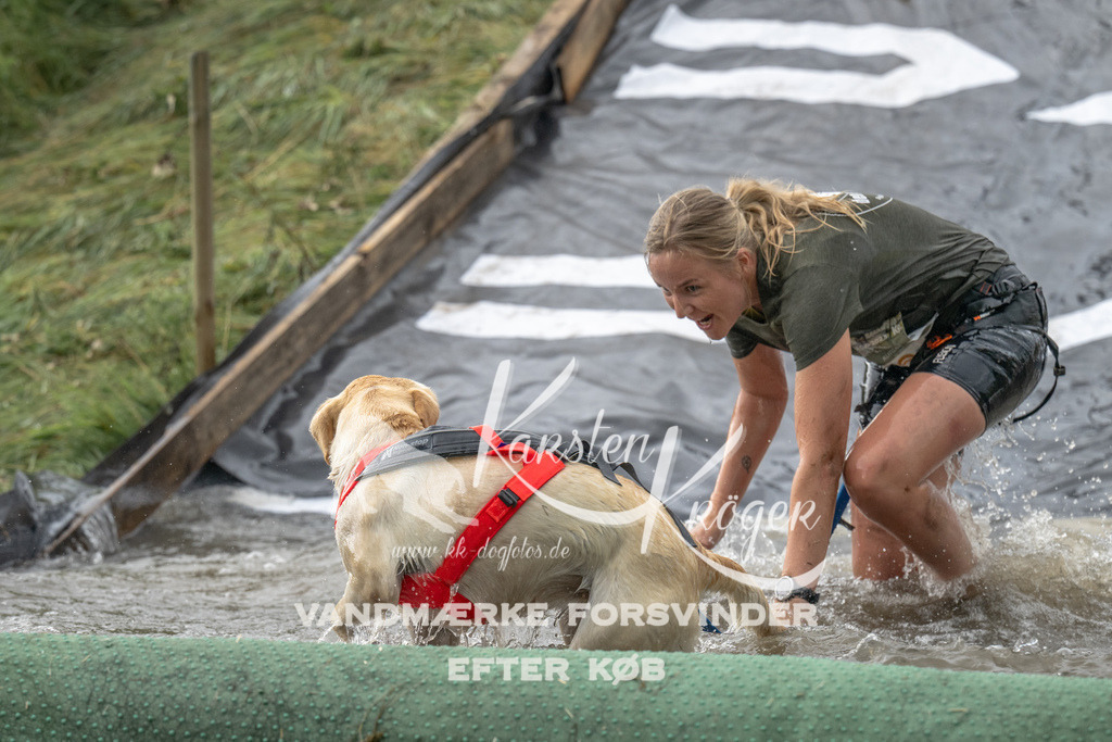 1203_ZZ94223 | kk-dogfotos