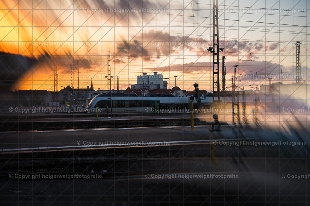 20260703211659Z63_5456 | Kaufen sie online außergewöhnliche Fotografien auf Leinwand Acrylglas Fotoprint Aludibond von holgerweigeltfotografie - Realisiert mit Pictrs.com