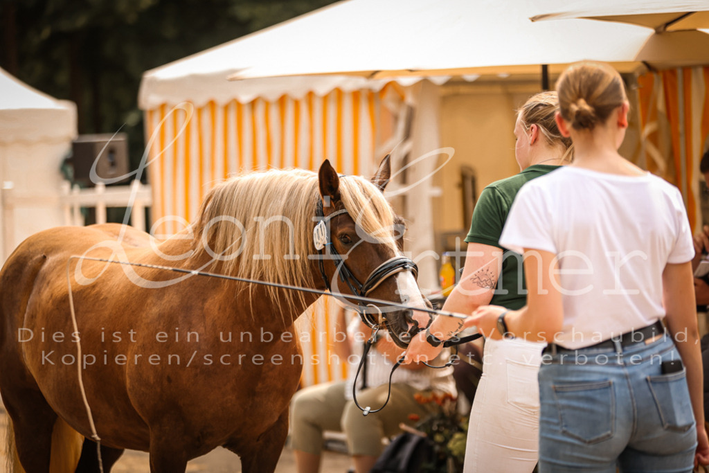 5.Sa00050 | Leoni Ertmer Photography - Realisiert mit Pictrs.com