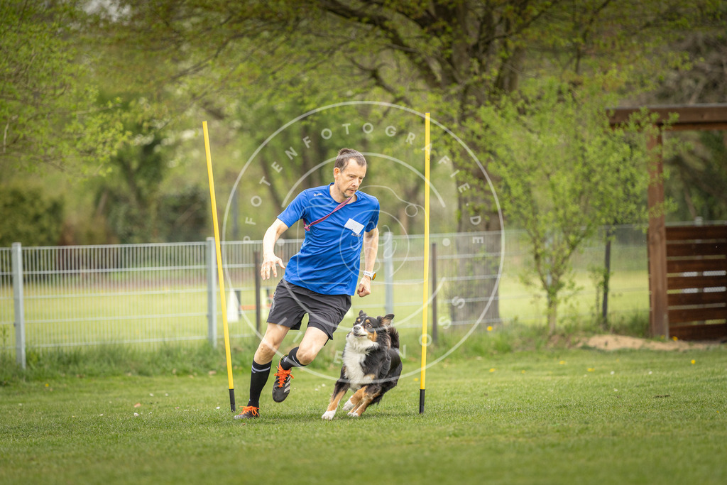 Pfotenfotografie_DV3A0150 | Hundefotografie, Tierfotograf, Pfotenfotografie, Fotoshooting Hund, Hunde Portrait, Hundesport, Hundeportraits, Heideshooting, Hunde, Sportfotograf, Hundefotograf, Turnierhundsport, THS,  - Realisiert mit Pictrs.com